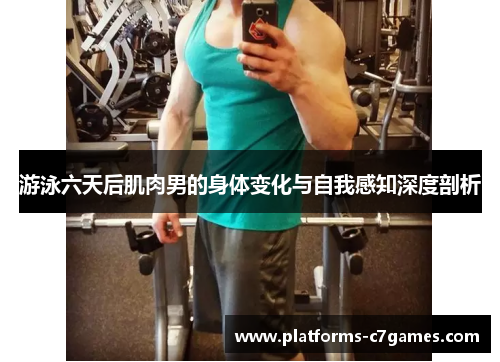游泳六天后肌肉男的身体变化与自我感知深度剖析