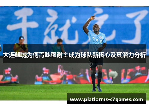 大连鲲城为何青睐穆谢奎成为球队新核心及其潜力分析
