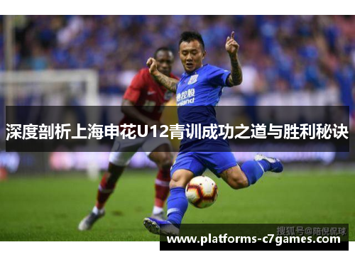 深度剖析上海申花U12青训成功之道与胜利秘诀