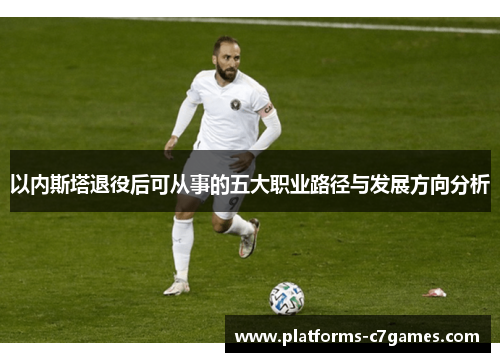 以内斯塔退役后可从事的五大职业路径与发展方向分析
