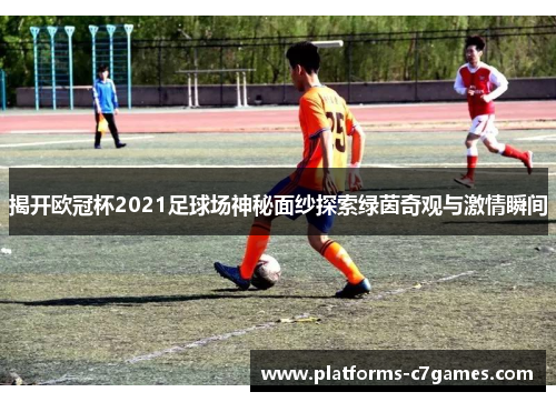 揭开欧冠杯2021足球场神秘面纱探索绿茵奇观与激情瞬间
