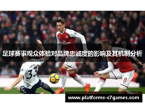 足球赛事观众体验对品牌忠诚度的影响及其机制分析 足球赛事观众体验对品牌忠诚度的影响及其机制分析